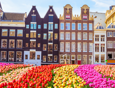 Amsterdam Cycle