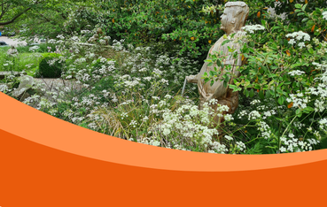 British garden in summer with wooden statue of young man facing away from camera