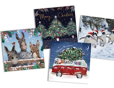 Selection of Christmas cards from Meningitis Now for Christmas 2025