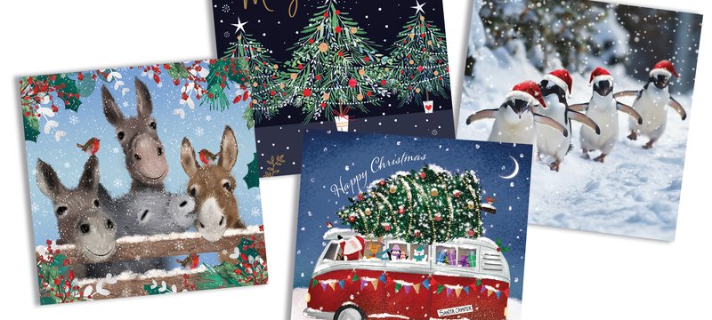 Selection of Christmas cards from Meningitis Now for Christmas 2025