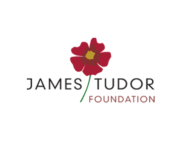 Meningitis Now Trusts and Grants graphic tile - James Tudor Foundation
